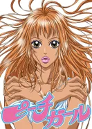 Постер Красотка