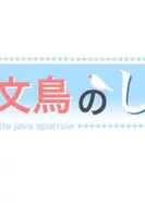 Постер Белая рисовка