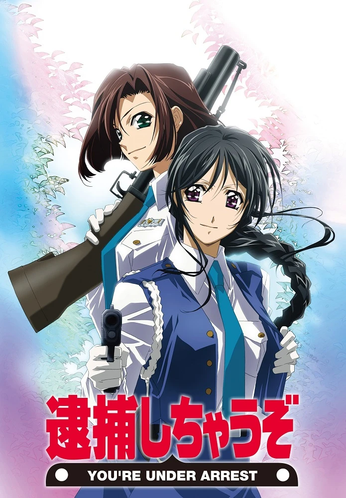 Вы арестованы! постер