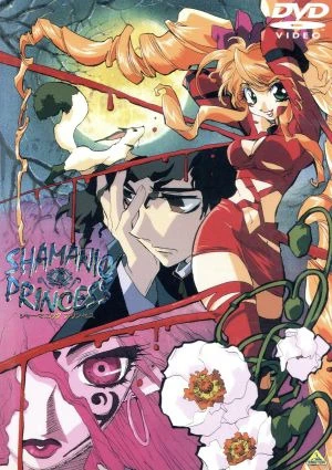 Принцесса-шаман постер